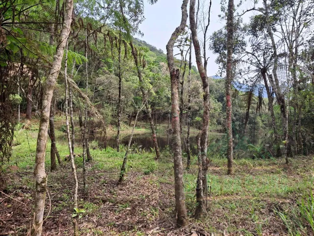 Terreno, 17 hectares - Foto 14