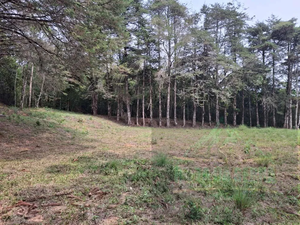 Terreno, 17 hectares - Foto 7
