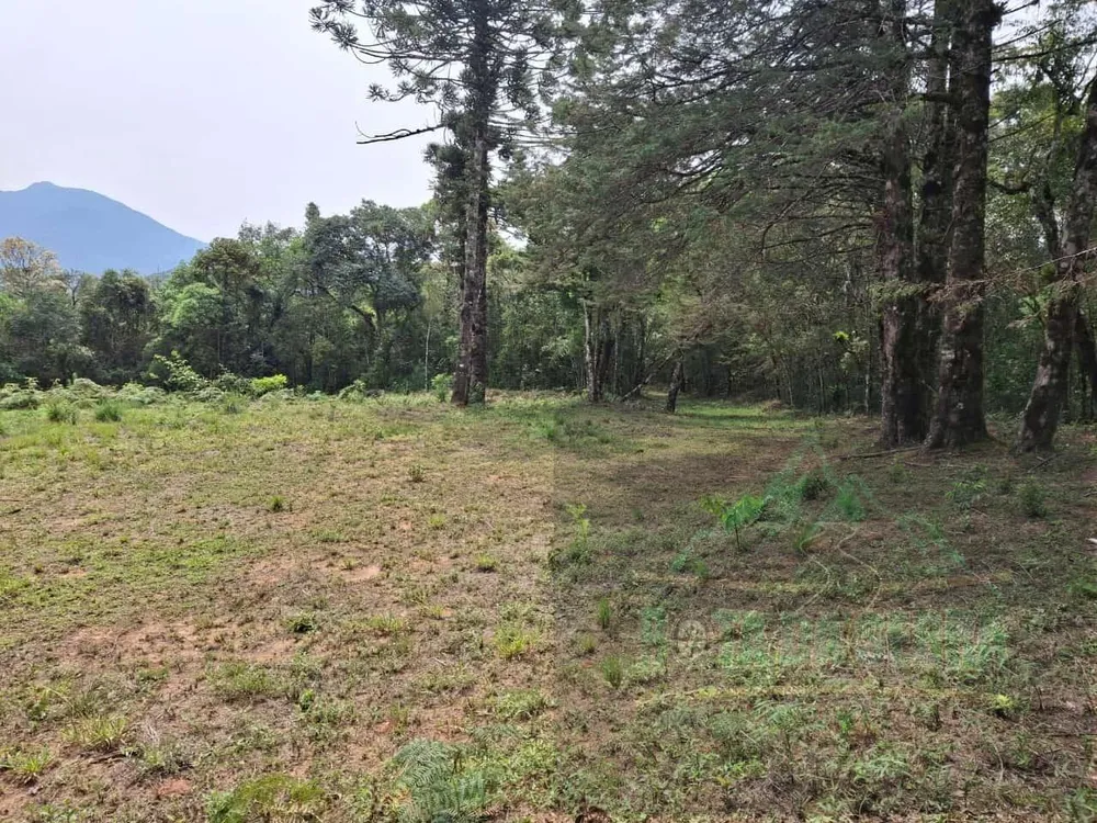 Terreno, 17 hectares - Foto 5