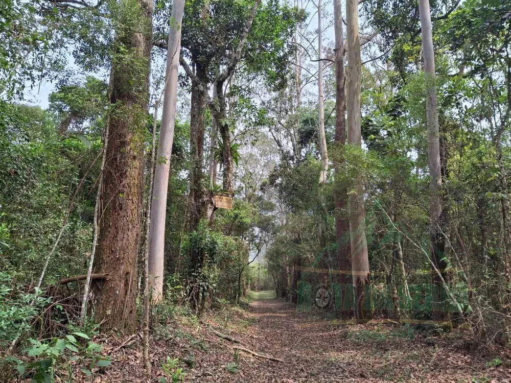 Terreno, 17 hectares - Foto 9
