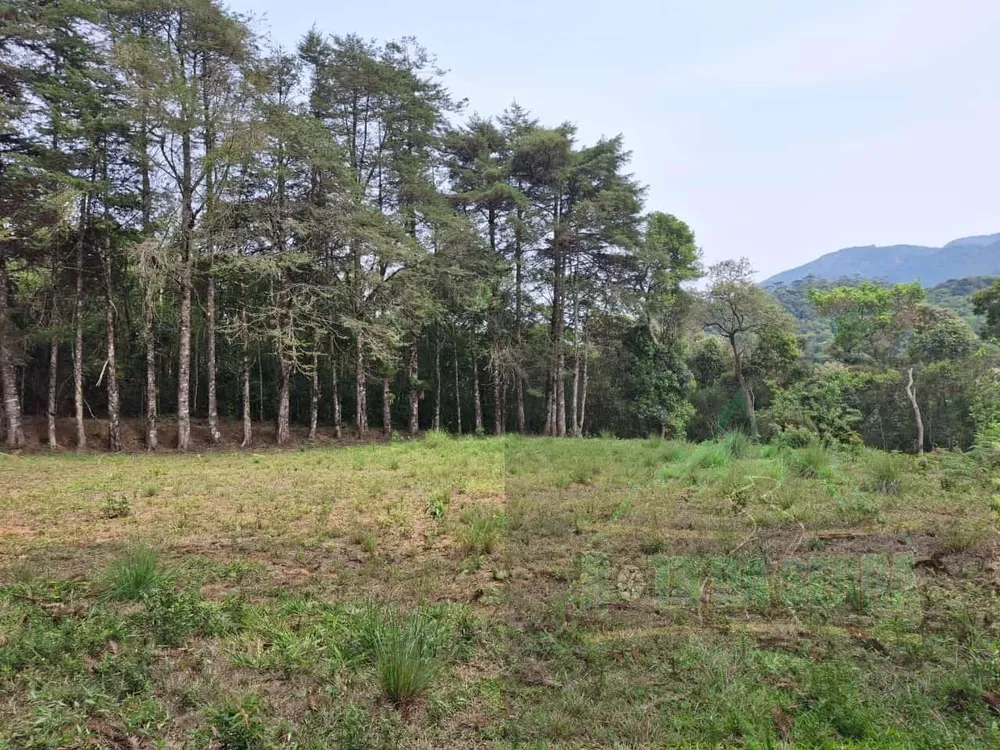Terreno, 17 hectares - Foto 6