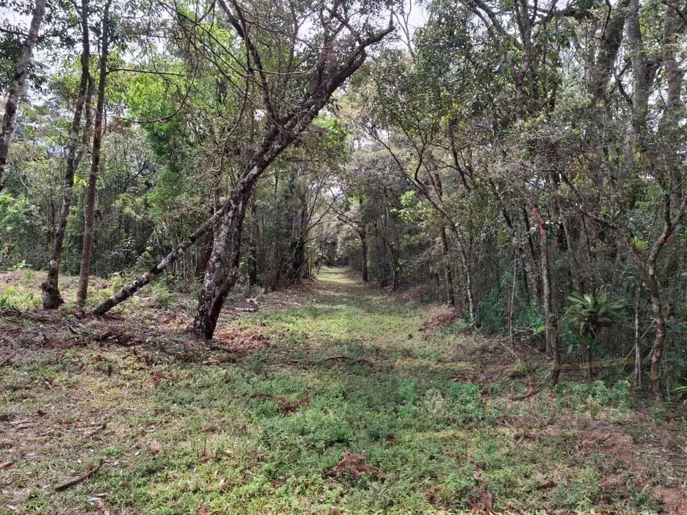 Terreno, 17 hectares - Foto 10