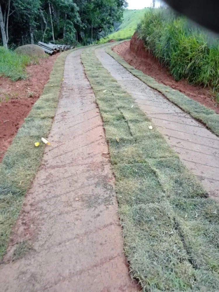 Terreno, 13 hectares - Foto 4
