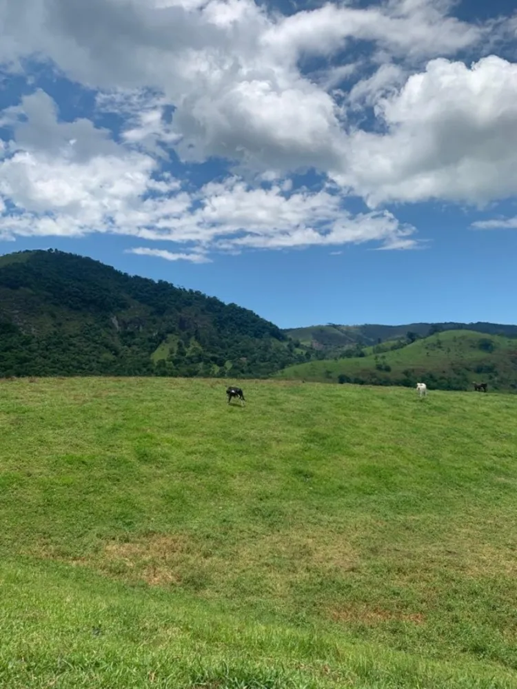 Terreno, 13 hectares - Foto 1