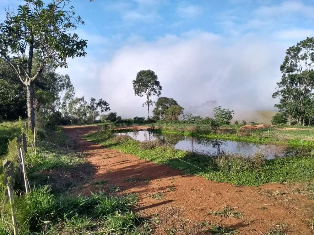 Terreno, 5 hectares - Foto 4