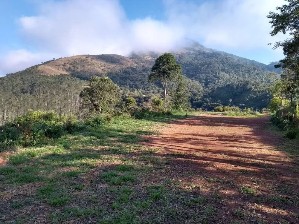 Terreno, 5 hectares - Foto 10
