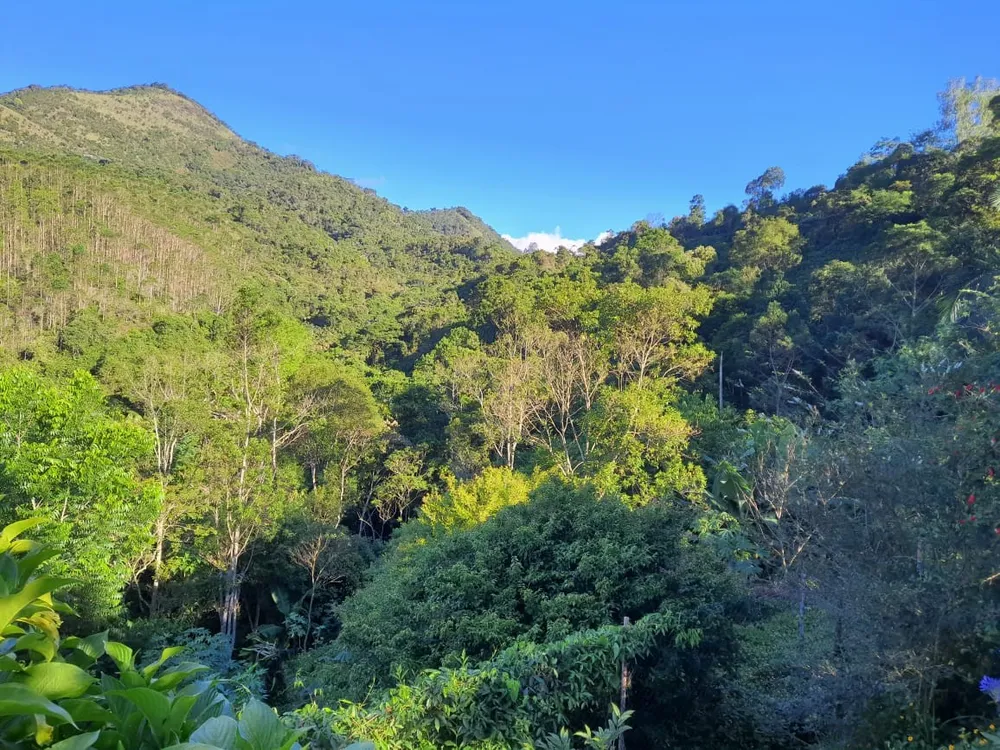 Terreno, 5 hectares - Foto 12