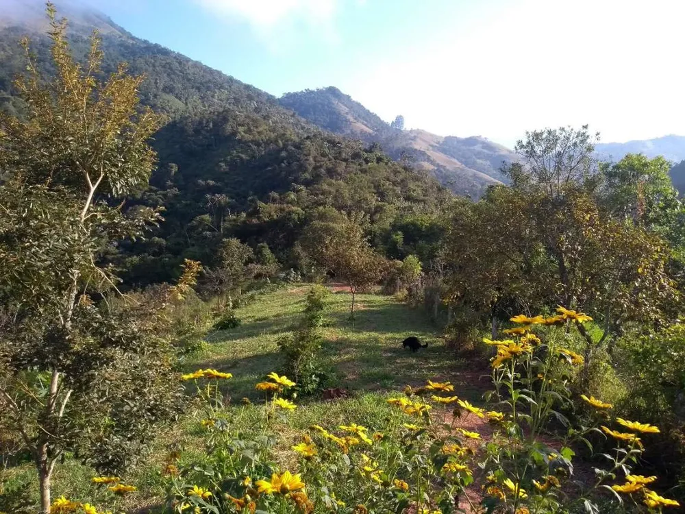 Terreno, 5 hectares - Foto 6