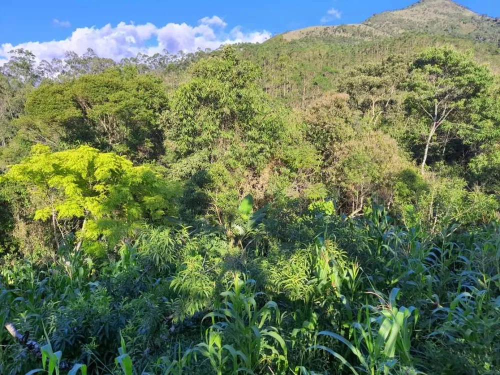 Terreno, 5 hectares - Foto 16