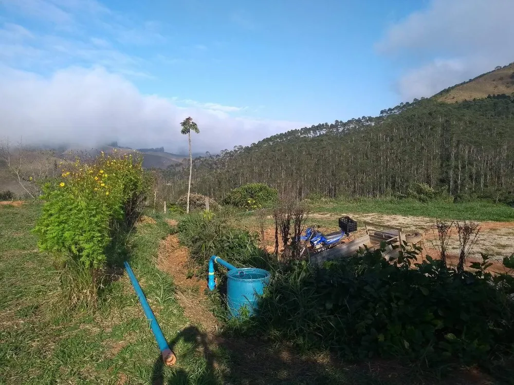 Terreno, 5 hectares - Foto 1