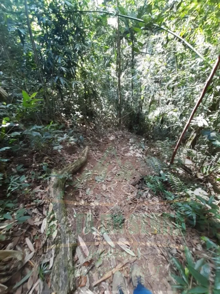 Terreno, 50 m² - Foto 3