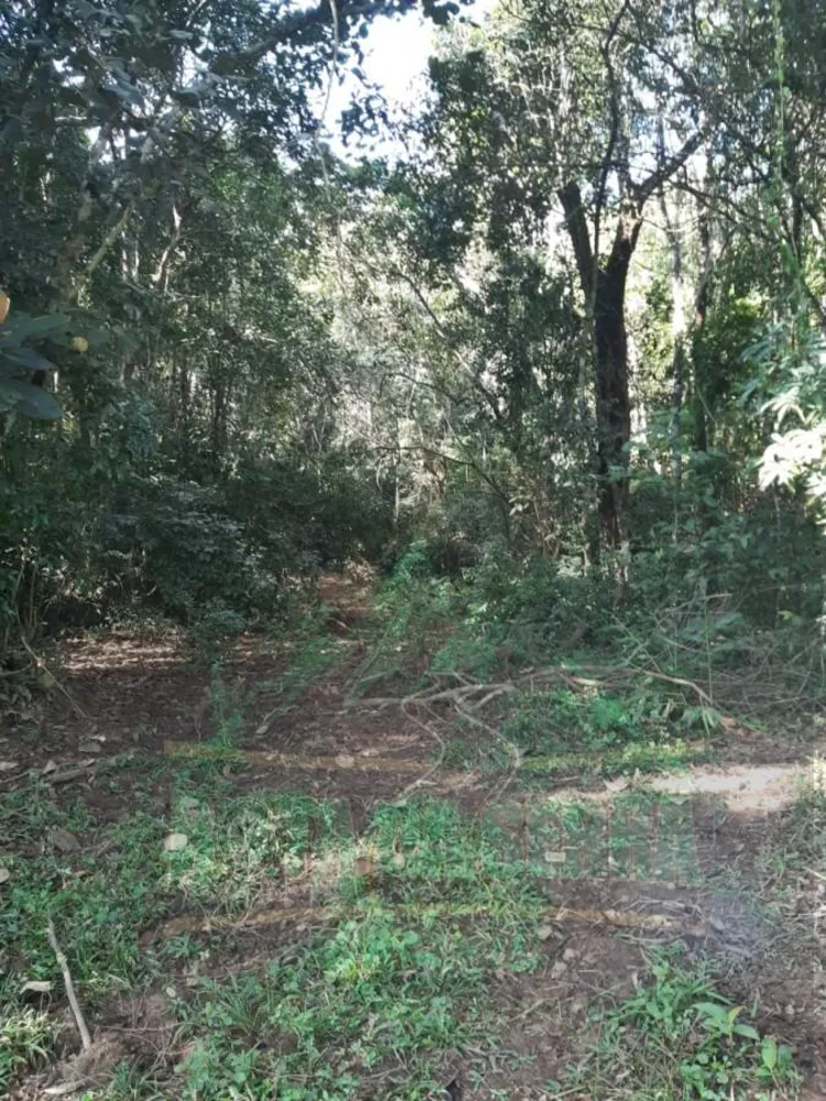 Terreno, 50 m² - Foto 5