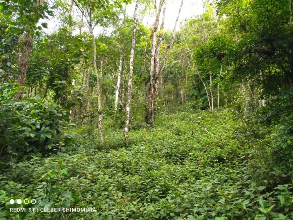 Terreno, 22 hectares - Foto 8