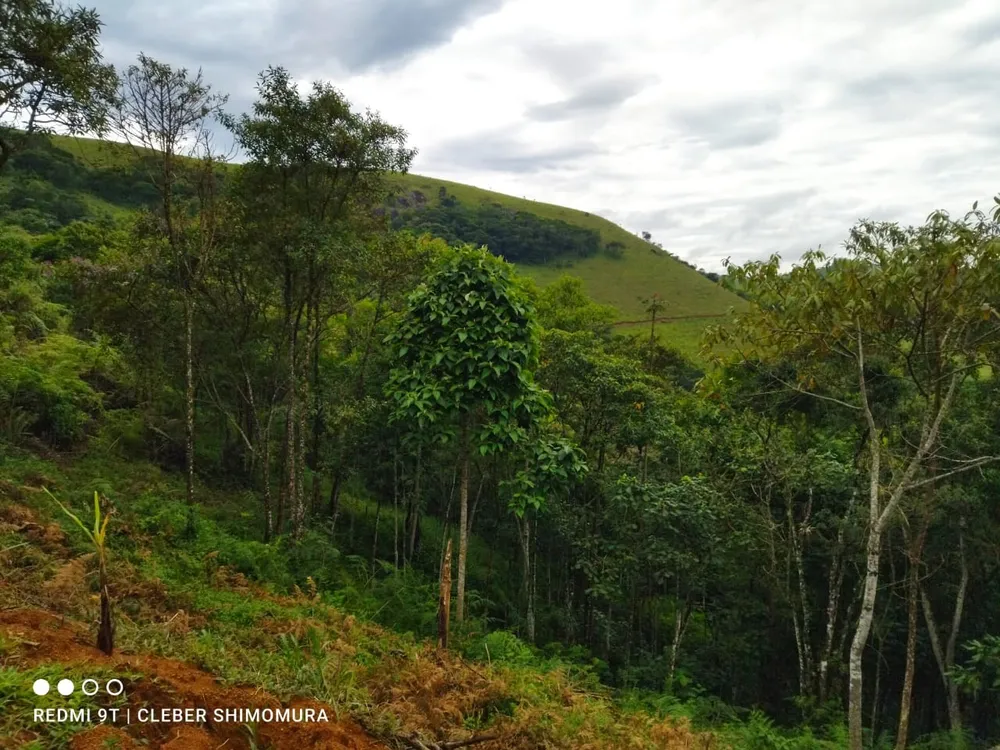 Terreno, 22 hectares - Foto 12
