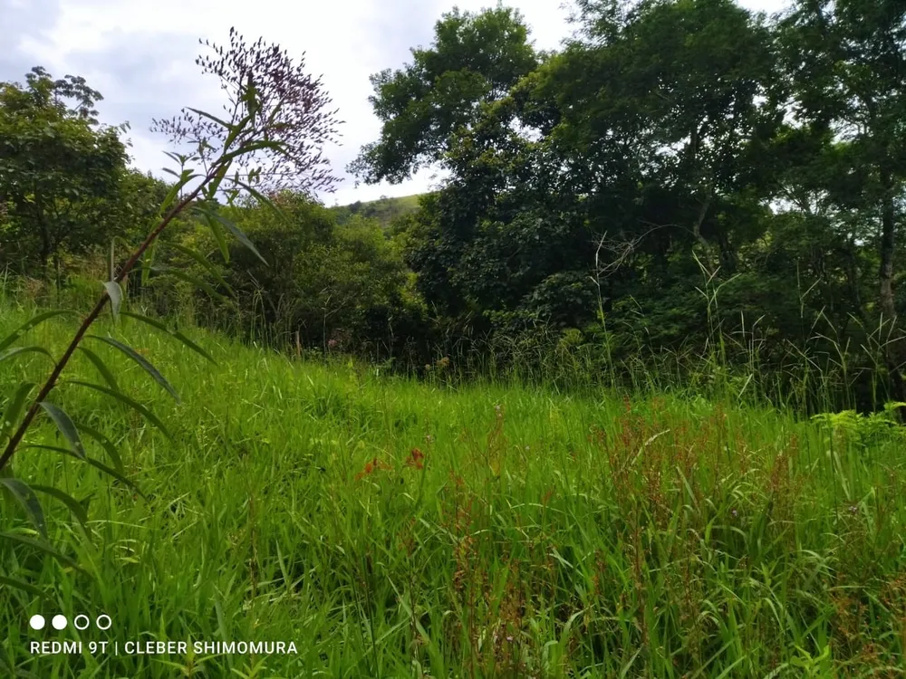 Terreno, 22 hectares - Foto 4