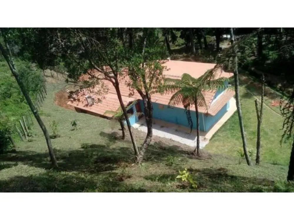 Terreno, 4 hectares - Foto 10