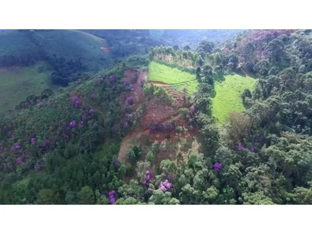 Terreno, 4 hectares - Foto 11