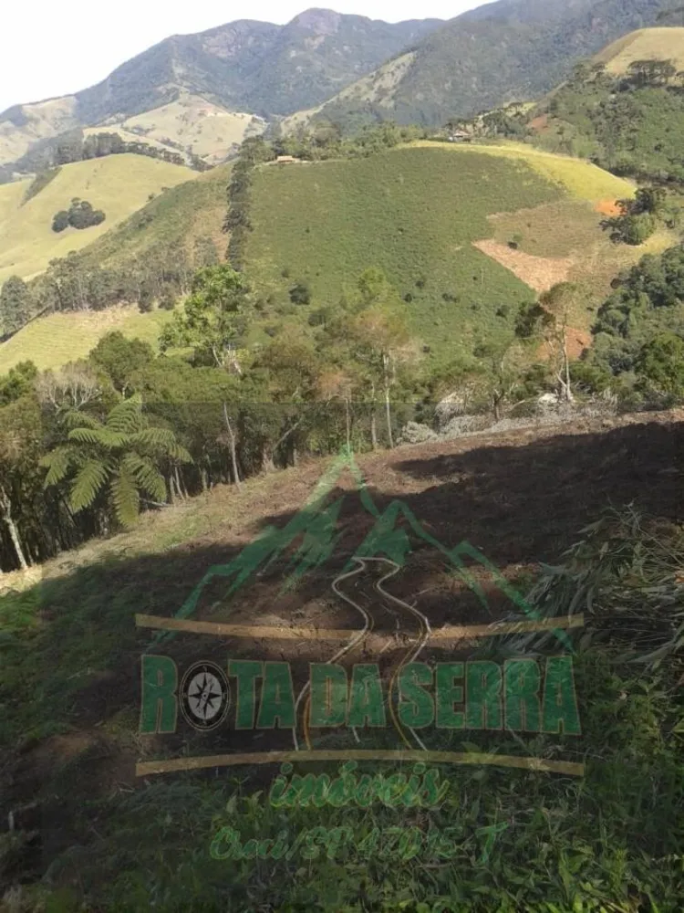Terreno, 4 hectares - Foto 3