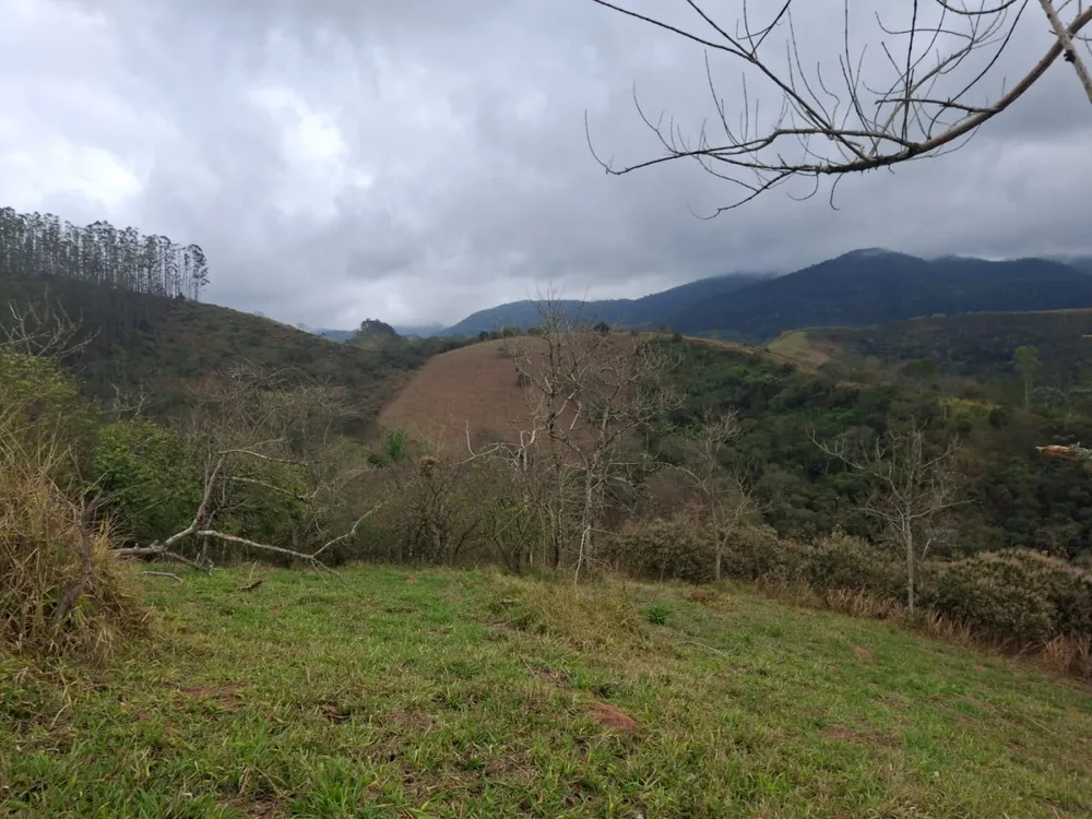 Terreno, 2 hectares - Foto 2
