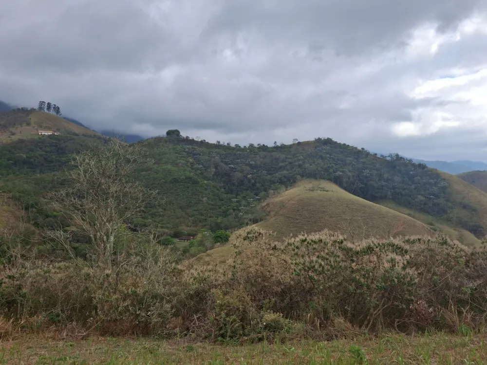 Terreno, 2 hectares - Foto 7