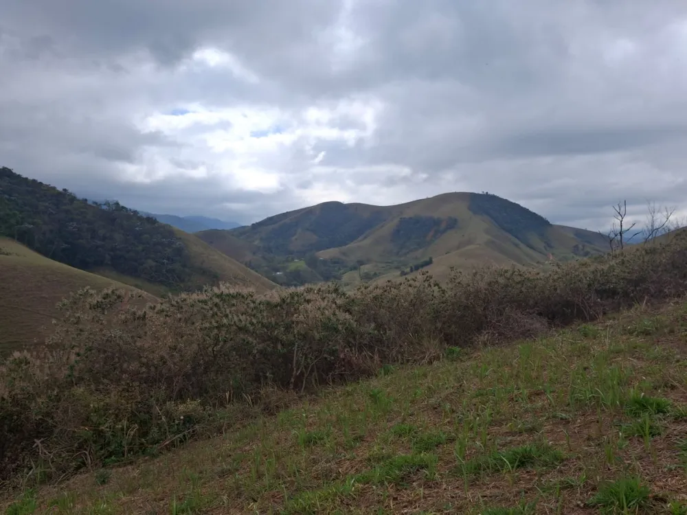 Terreno, 2 hectares - Foto 10