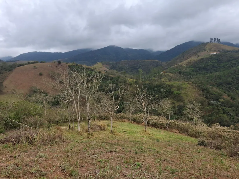 Terreno, 2 hectares - Foto 4
