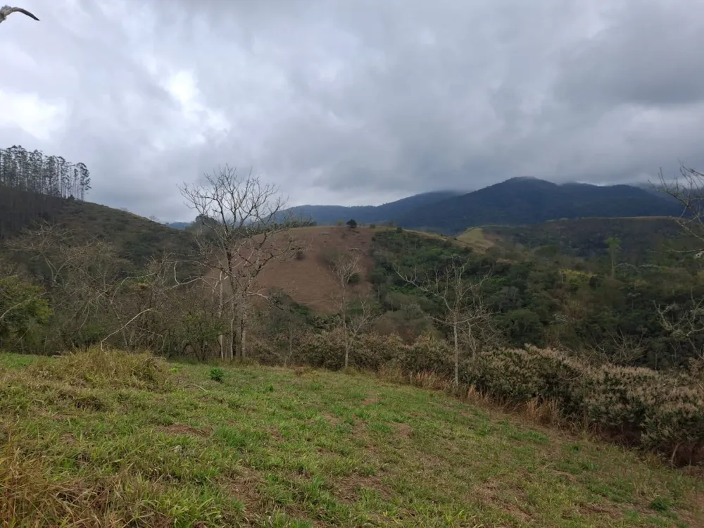 Terreno, 2 hectares - Foto 3