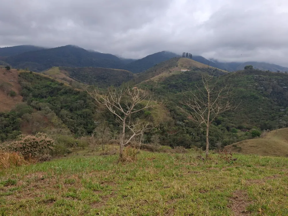 Terreno, 2 hectares - Foto 4