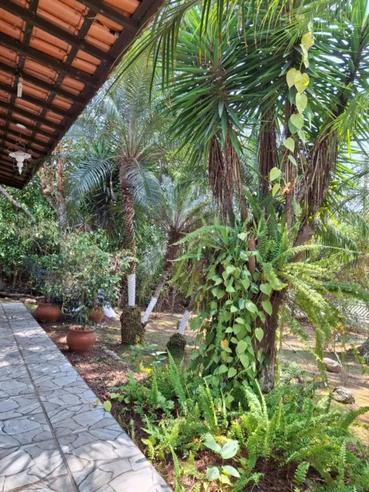 Terreno, 3527 m² - Foto 5