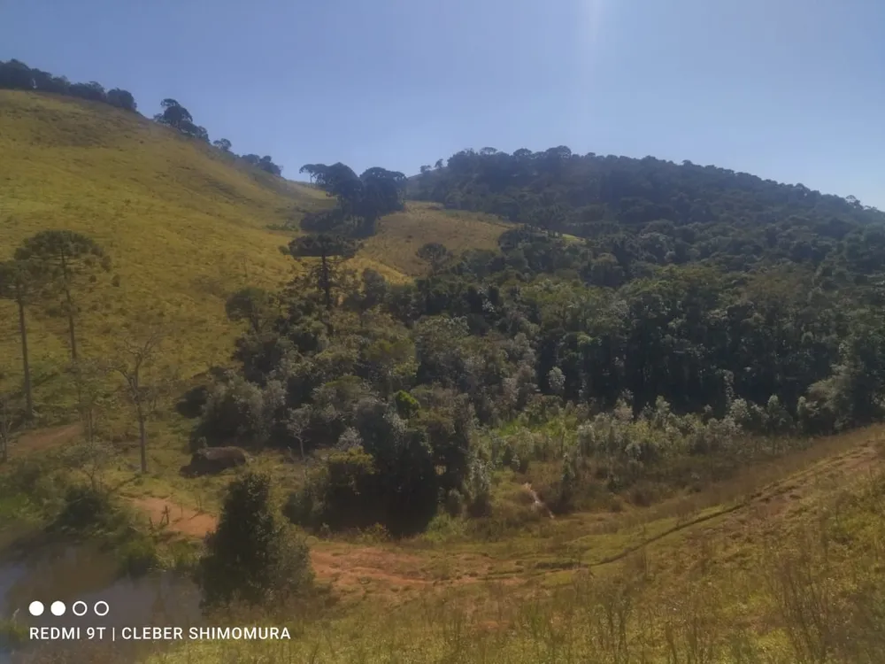Terreno, 80 hectares - Foto 9
