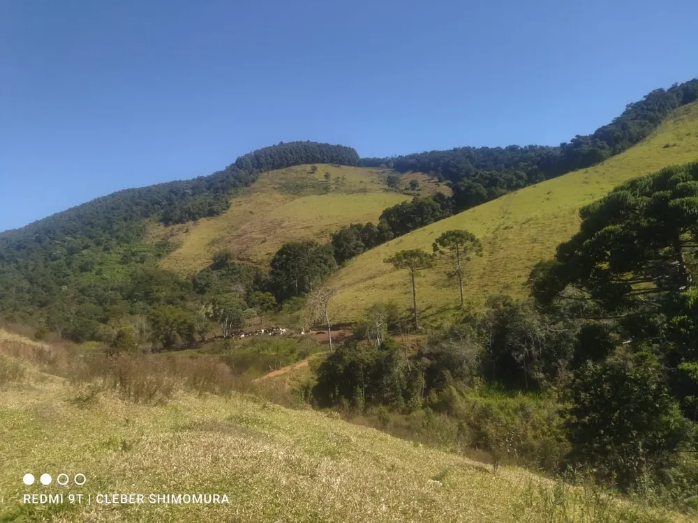 Terreno, 80 hectares - Foto 10