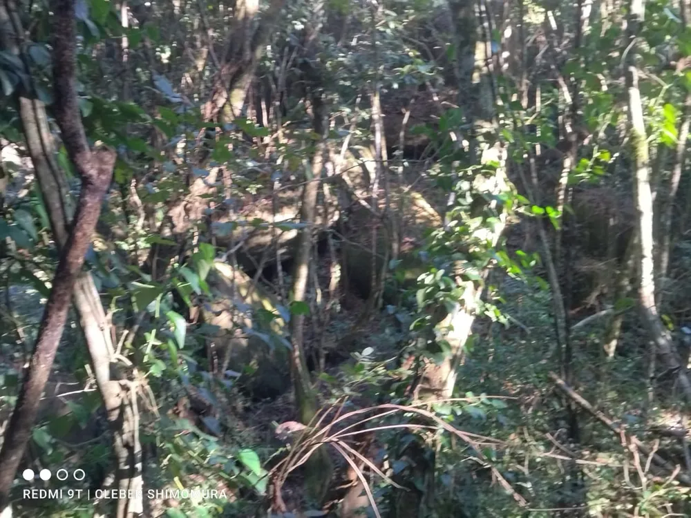 Terreno, 80 hectares - Foto 11