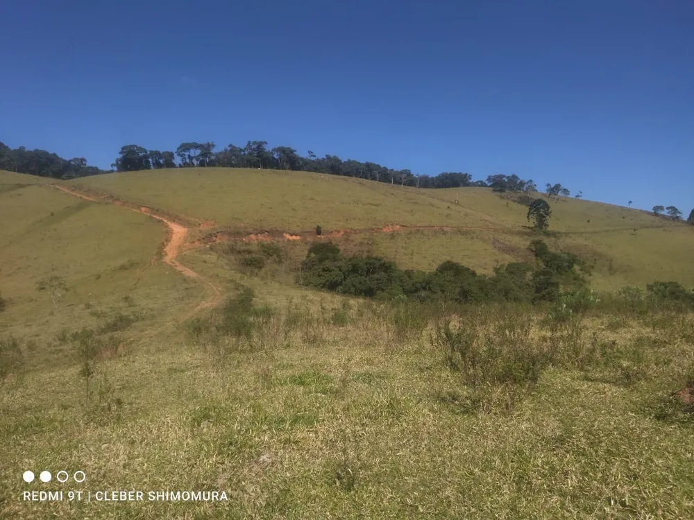 Terreno, 80 hectares - Foto 1