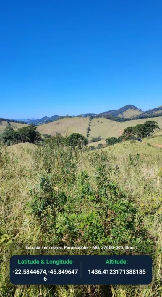 Terreno, 80 hectares - Foto 4