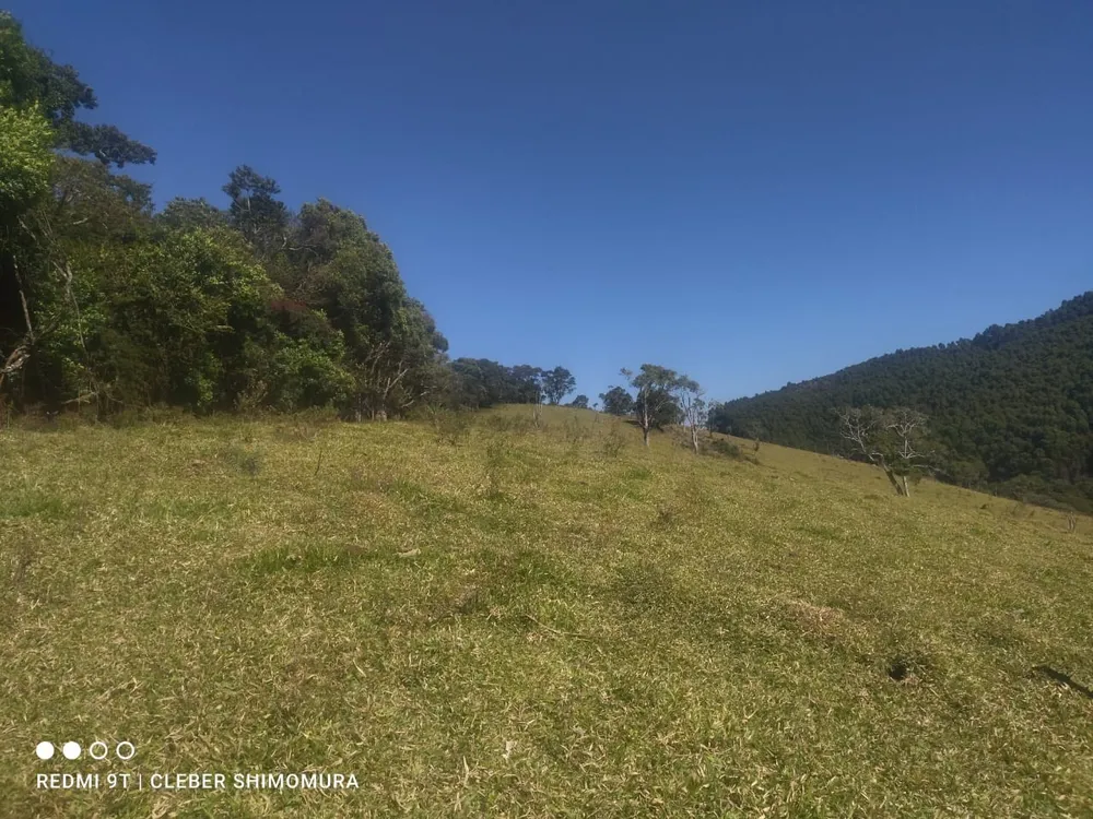 Terreno, 80 hectares - Foto 3