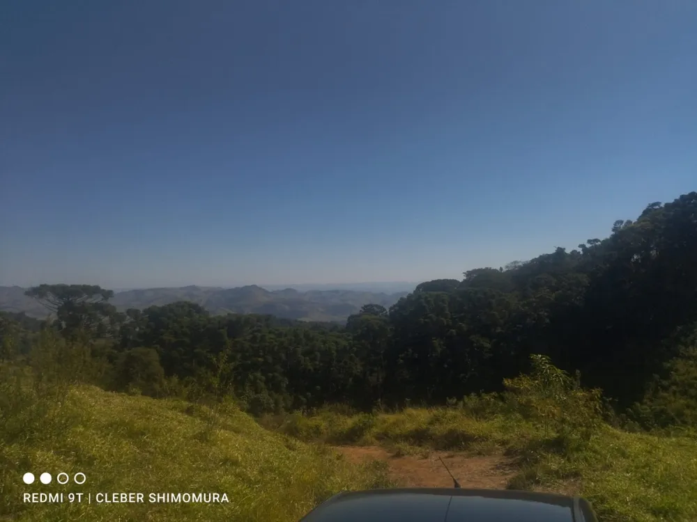 Terreno, 80 hectares - Foto 8