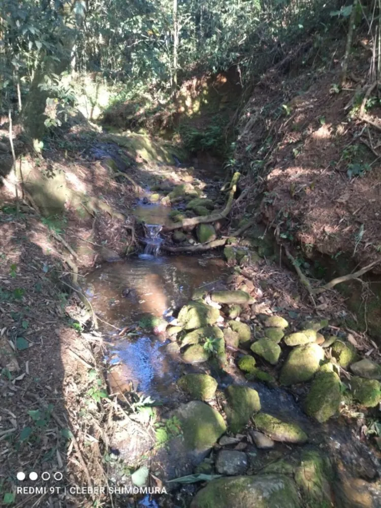Terreno, 80 hectares - Foto 12