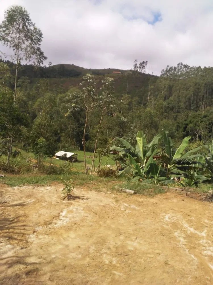 Terreno, 2 hectares - Foto 6
