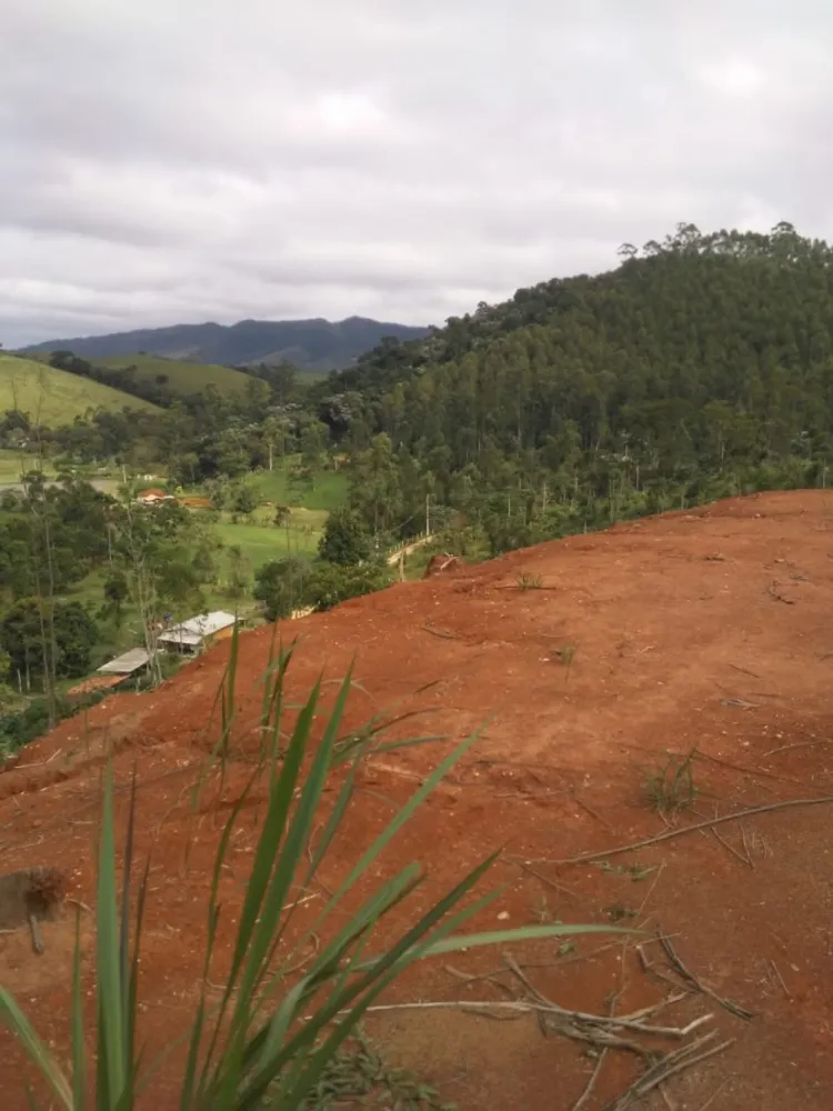 Terreno, 2 hectares - Foto 11