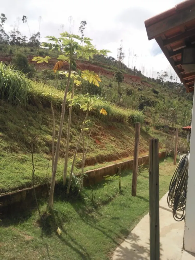 Terreno, 2 hectares - Foto 16
