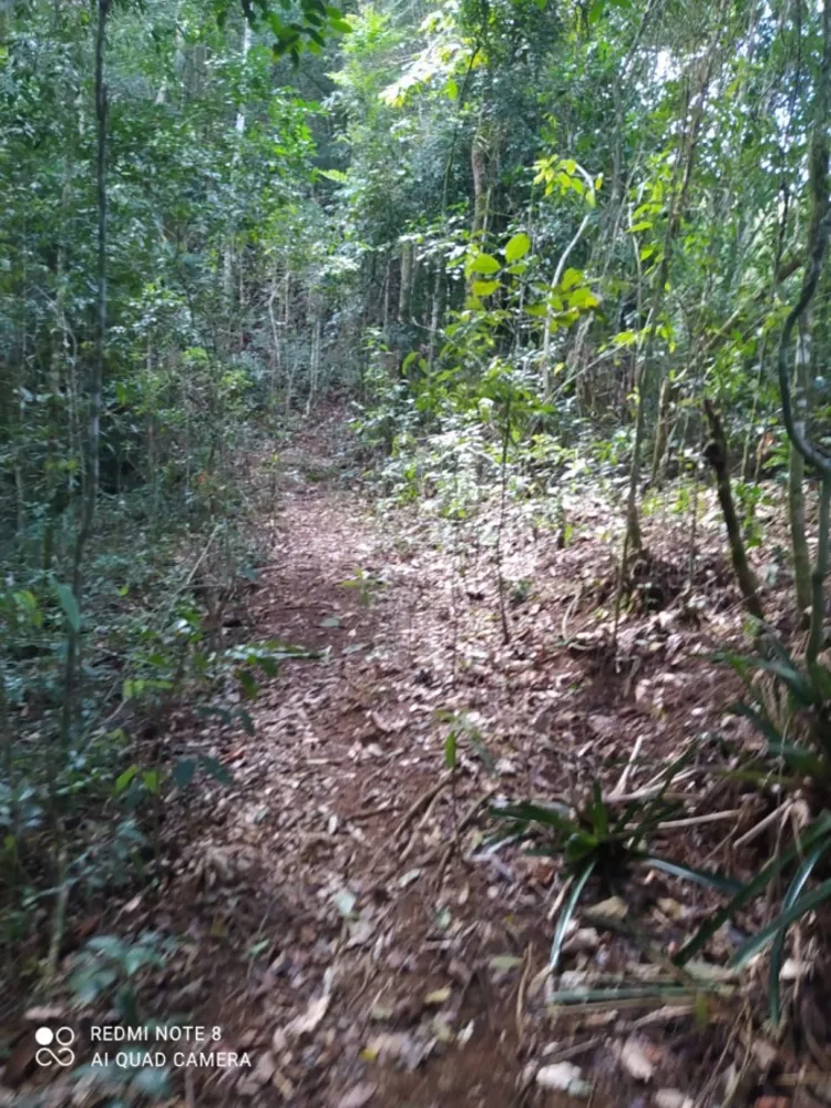 Terreno, 6 m² - Foto 4