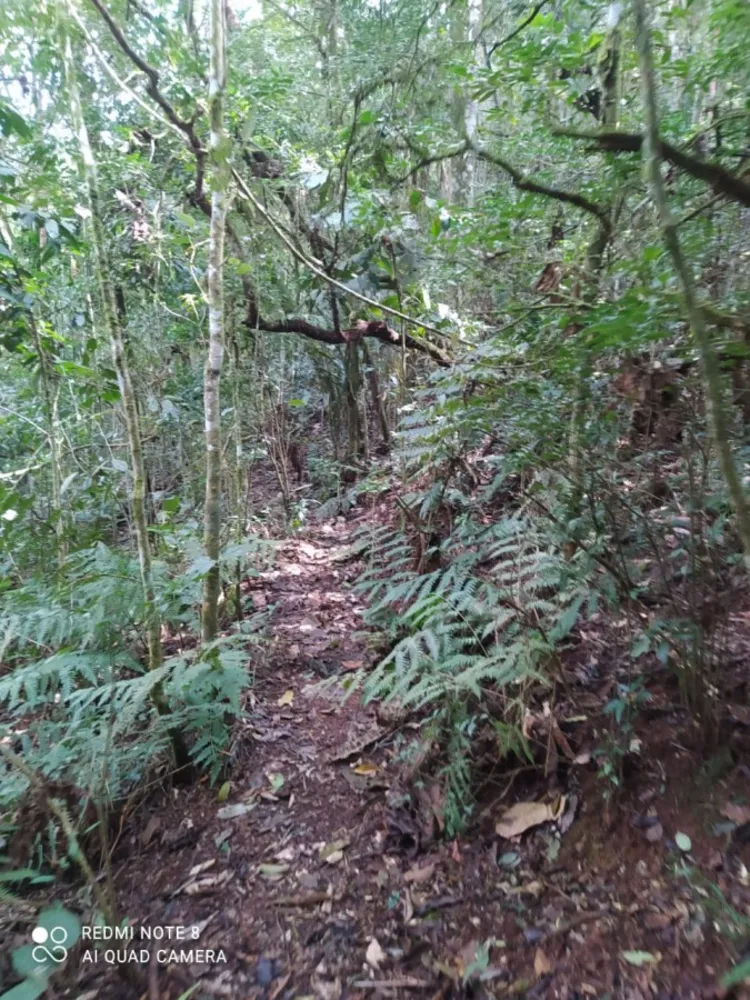 Terreno, 6 m² - Foto 10