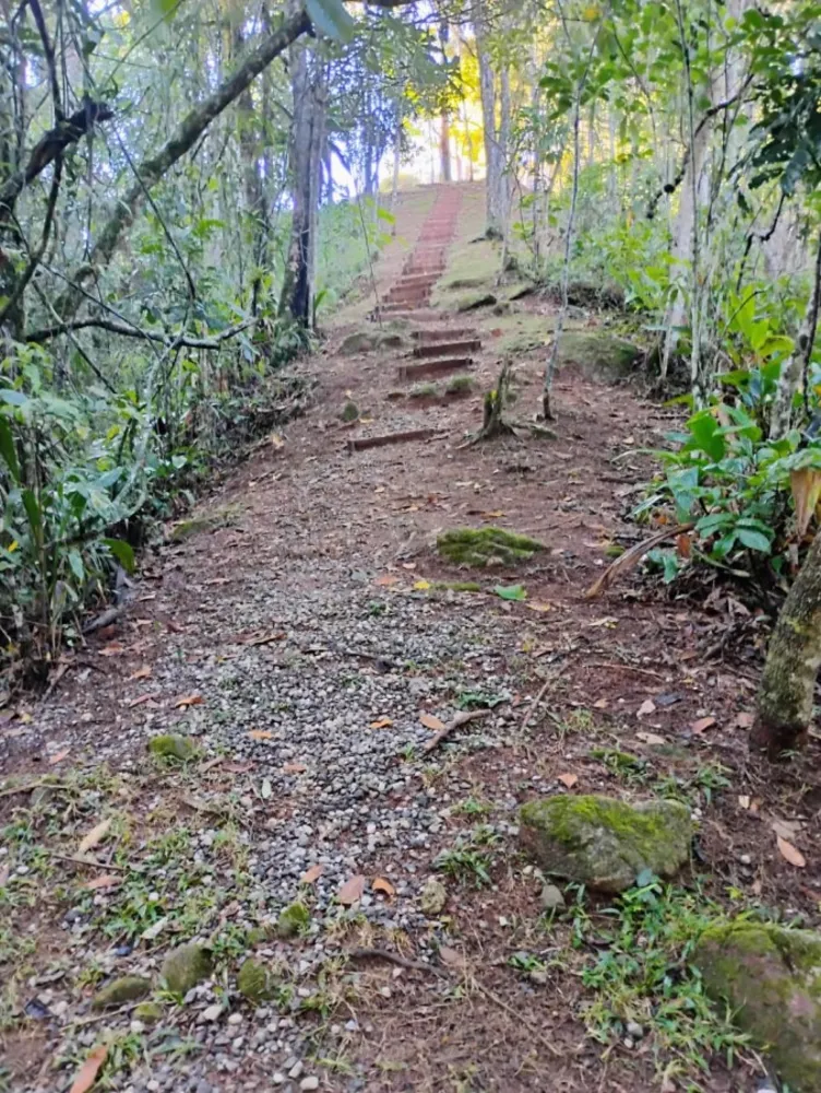 Terreno, 7000 m² - Foto 15