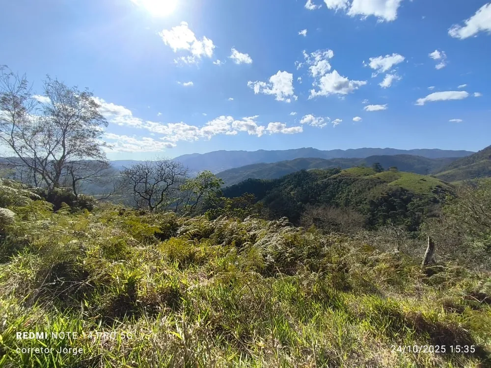 Terreno, 3 hectares - Foto 10