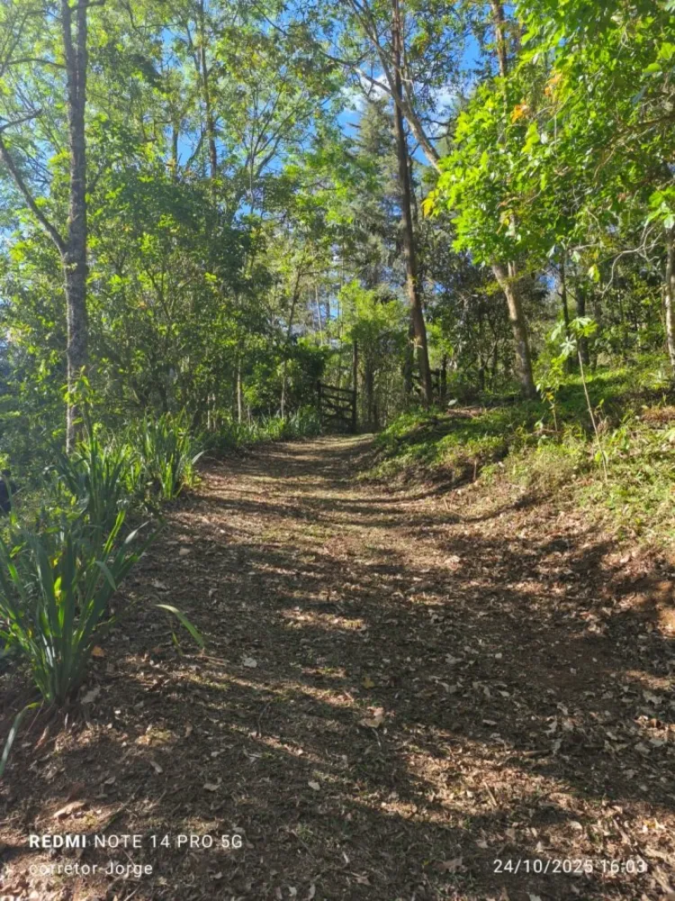 Terreno, 3 hectares - Foto 9