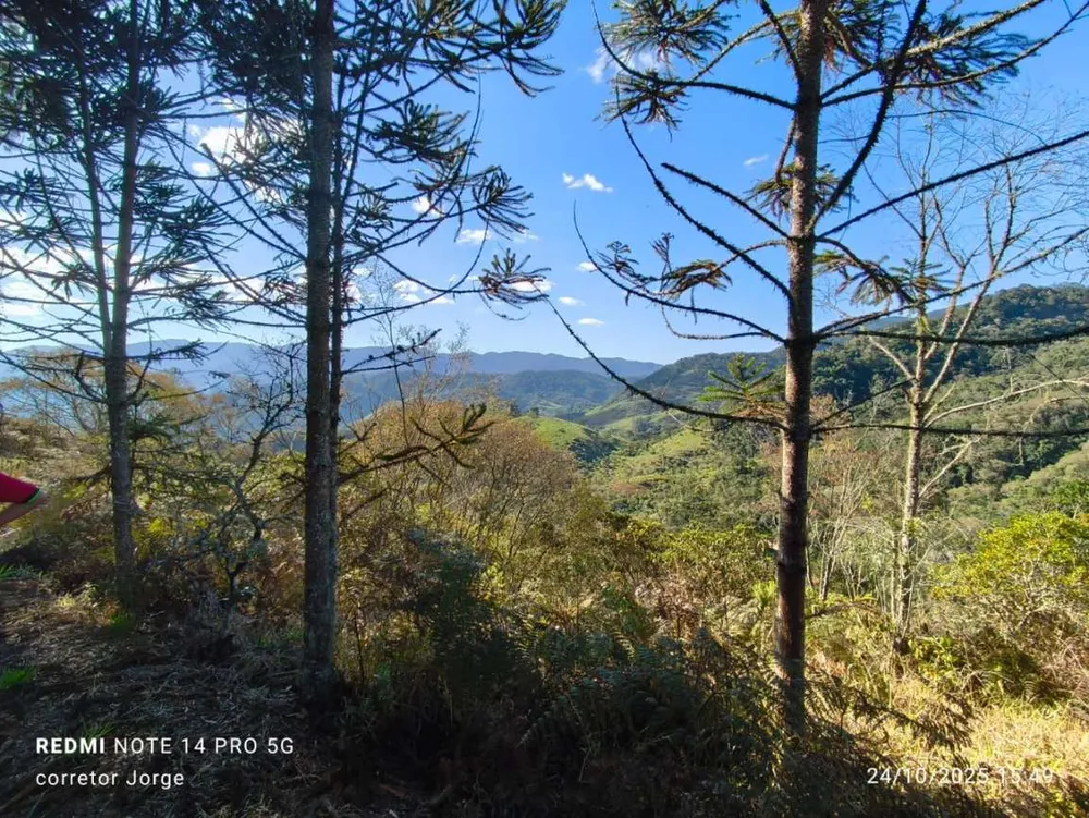 Terreno, 3 hectares - Foto 4