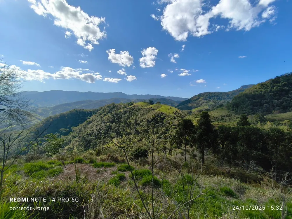 Terreno, 3 hectares - Foto 8