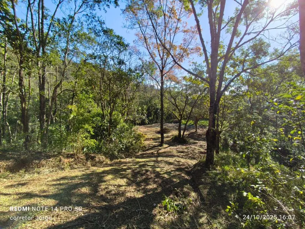 Terreno, 3 hectares - Foto 11