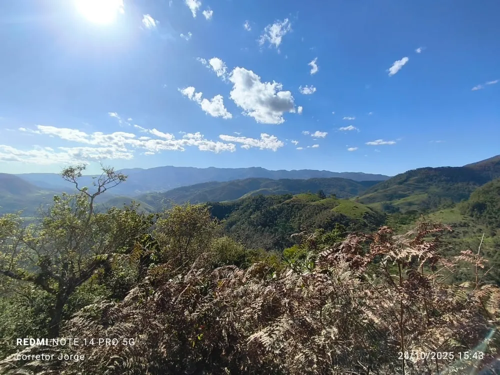 Terreno, 3 hectares - Foto 6