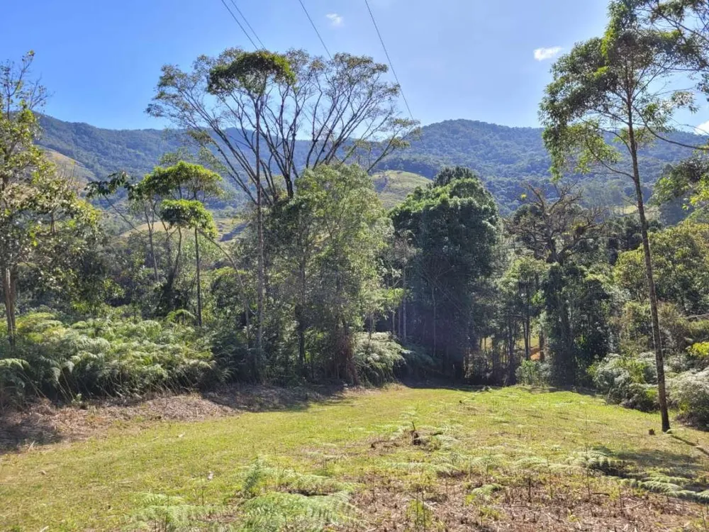 Terreno, 4 hectares - Foto 13